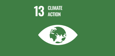 Imagen de Objetivo 13