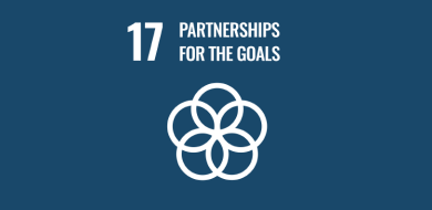 Imagen de Objetivo 17