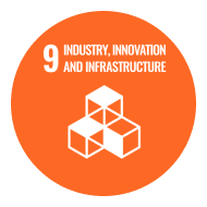 Imagen de Objetivo 9