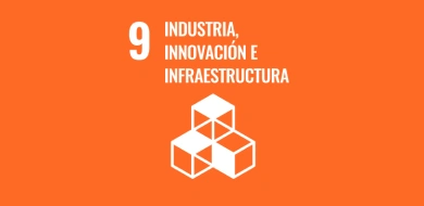 Imagen de Objetivo 9