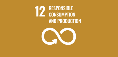 Imagen de Objetivo 12