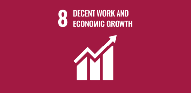 Imagen de Objetivo 8