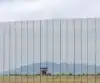 Imagen de Reja DEACERO® Forte